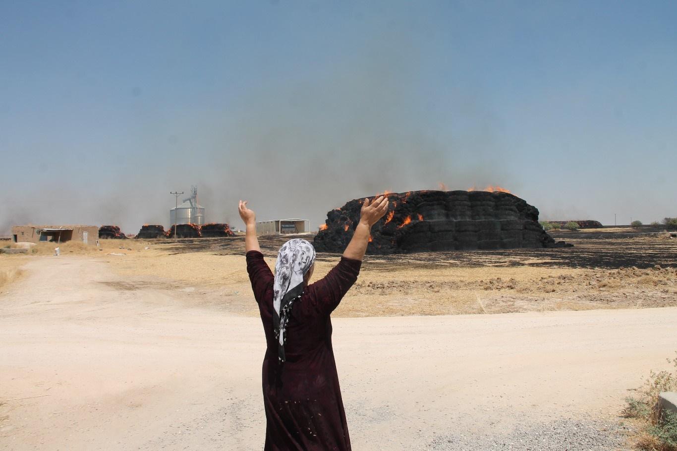 ​Anız yangını köye sıçradı: 15 bin ağaç ve tonlarca saman yandı  